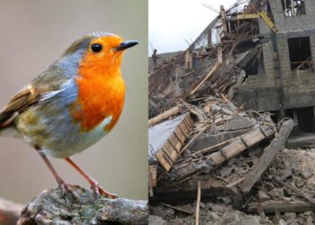 Uncompleted Building Collapses on Kasoa Man in His Attempt to Chase Away a Loud  Bird