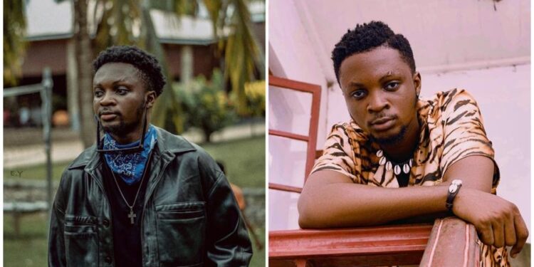 Punishing Students For Speaking Twi In School Makes No Sense — Kweku Darlington