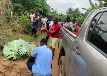 ECG “Transformer-Parts” Thief Electrocuted in Suhyen