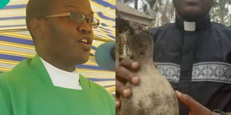 Catholic Priest Resigns to Embrace African Traditional Religion