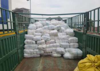 FDA Destroys Over One Million Counterfeit Diapers to Protect Public Health