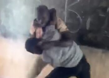 Two Male Teachers Fight over a Female Teacher in Pepease in the Ashanti Region, MP Condemns