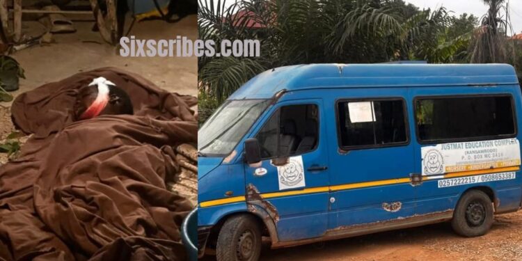 Child Allegedly Dies After Falling From Moving School Bus